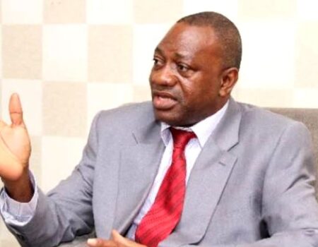 Parliament Can Pass Law To Regulate Lithium Exploitation Within A Week – Pelpuo