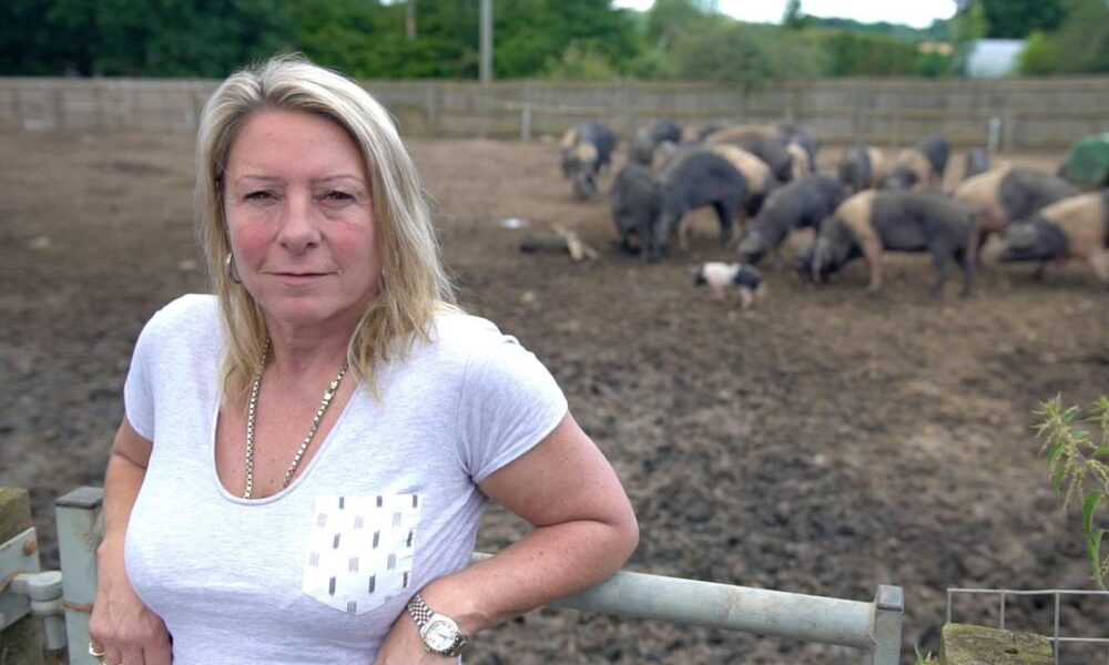 Tracy, An Ex Convict Chooses Pig Farming As Against Crime