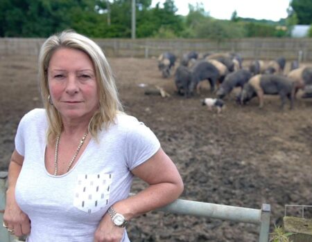 Tracy, An Ex Convict Chooses Pig Farming As Against Crime