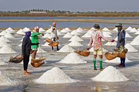 Food And Drugs Authority To Prosecute Salt Manufacturers Who Fail To Regularise Operations