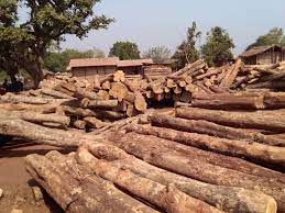 Fire Service Saves Wood Logs At WAKO Company At Dunkwa-On-Offin